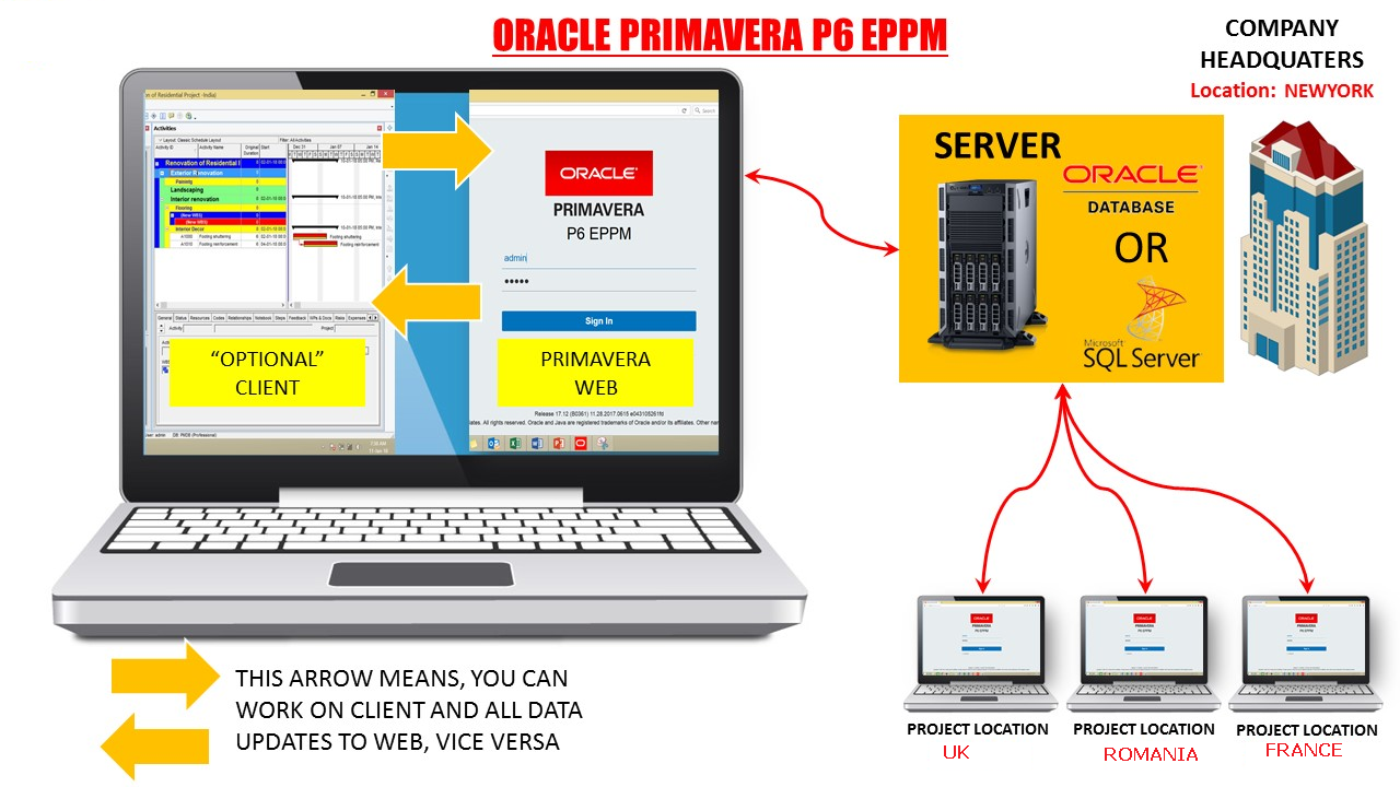 Quelle est la différence entre Oracle Primavera P6 PPM et Primavera P6 EPPM - Ecostar Plan