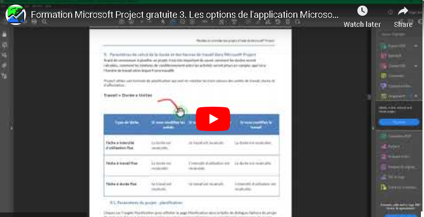 options microsoft project
